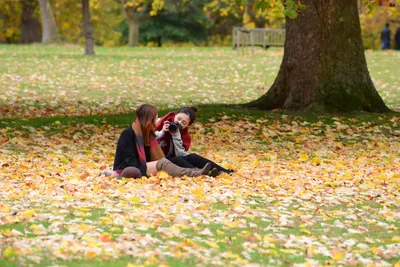 DSC_0592 (Large).JPG